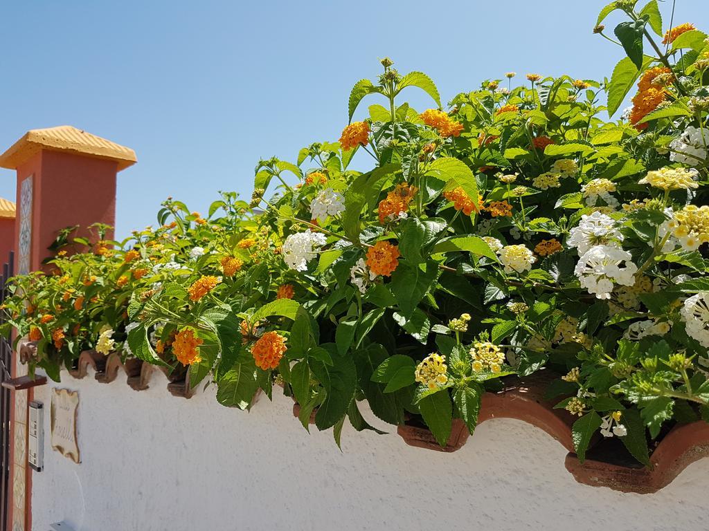 Villa Rosella シャッカ エクステリア 写真